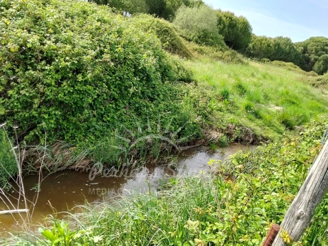 Terreno Misto para Venda em Grândola e Santa Margarida da Serra Foto 6