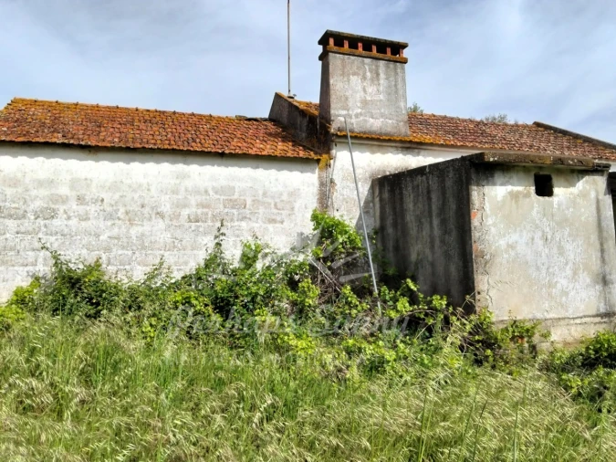Terreno Misto para Venda em Grândola e Santa Margarida da Serra Foto 7