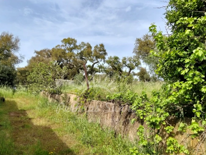Terreno Misto para Venda em Grândola e Santa Margarida da Serra Foto 11