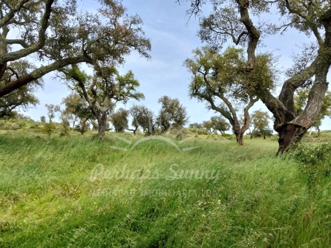 Terreno Misto para Venda em Grândola e Santa Margarida da Serra Foto 23