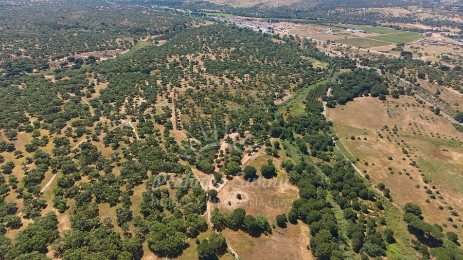 Terreno Misto para Venda em Grândola e Santa Margarida da Serra Foto 29
