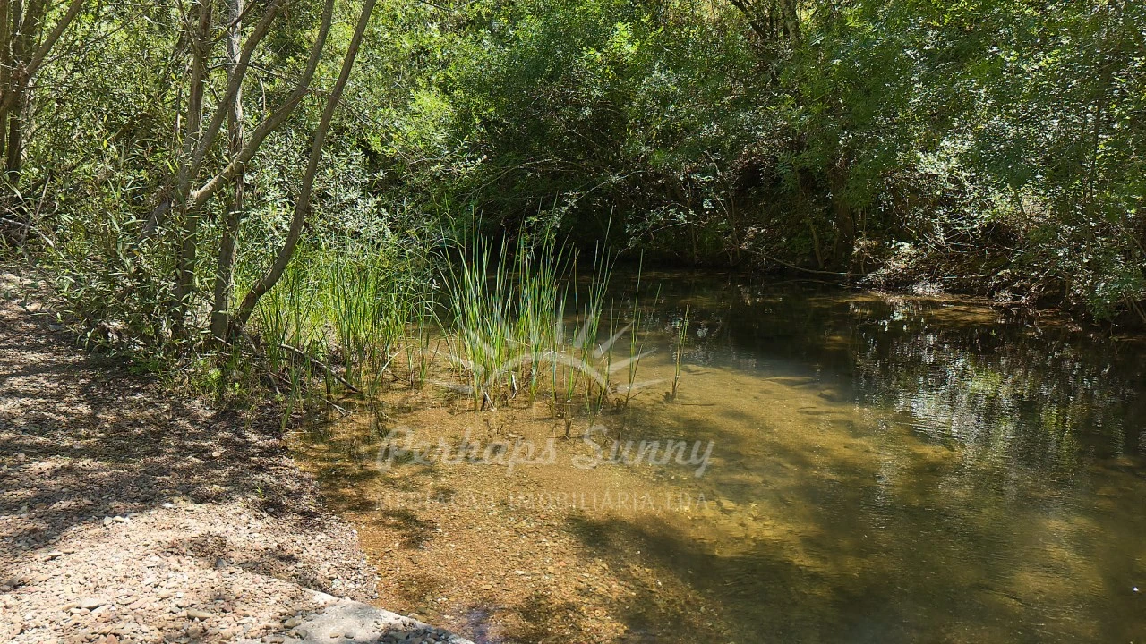 Terreno Agricola ou Rústico para Venda em Grândola e Santa Margarida da Serra Foto 1