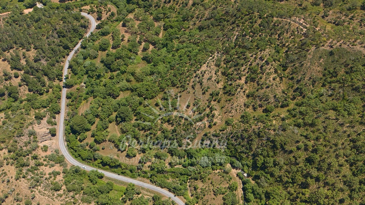 Terreno Agricola ou Rústico para Venda em Grândola e Santa Margarida da Serra Foto 8