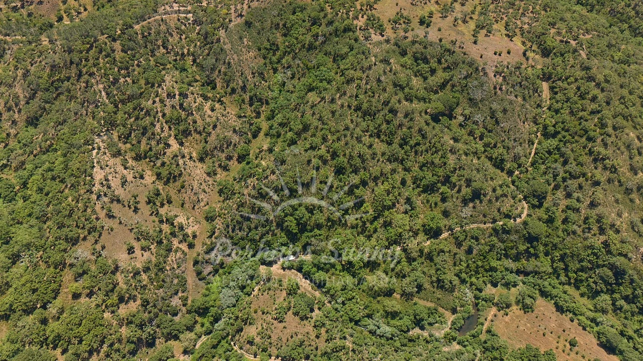 Terreno Agricola ou Rústico para Venda em Grândola e Santa Margarida da Serra Foto 9