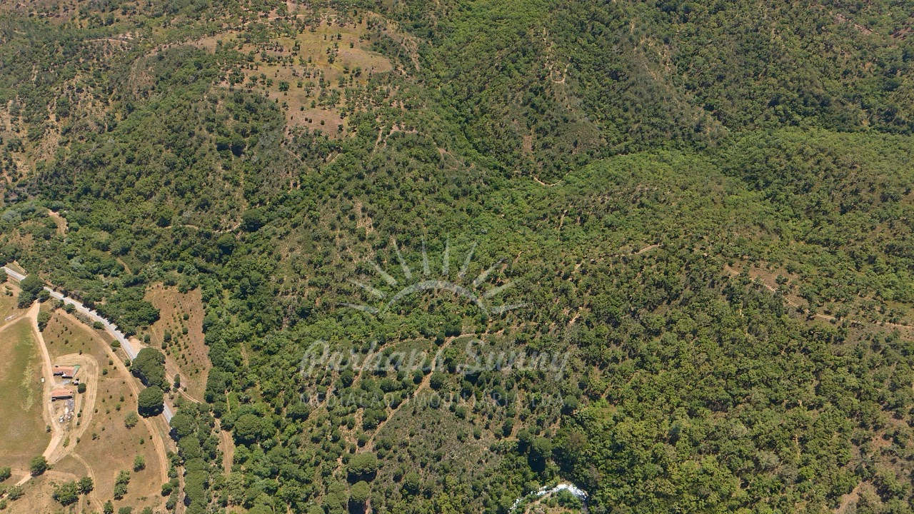 Terreno Agricola ou Rústico para Venda em Grândola e Santa Margarida da Serra Foto 11