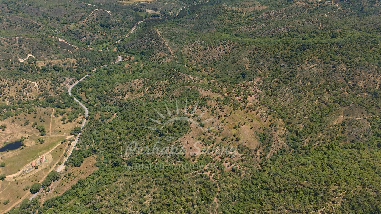 Terreno Agricola ou Rústico para Venda em Grândola e Santa Margarida da Serra Foto 12