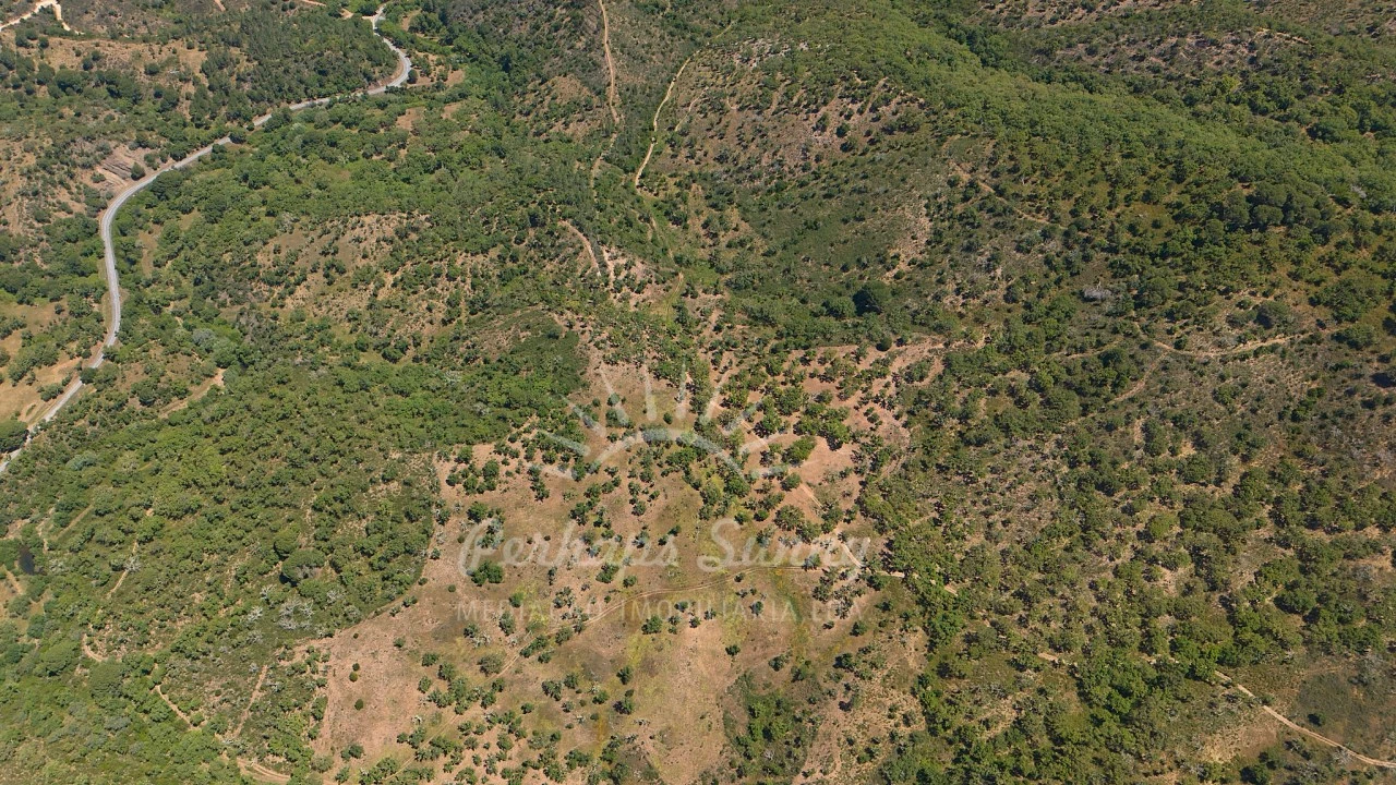 Terreno Agricola ou Rústico para Venda em Grândola e Santa Margarida da Serra Foto 13