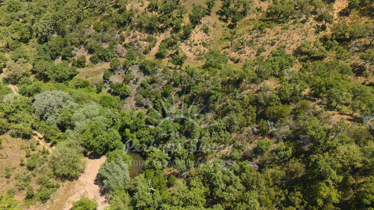 Terreno Agricola ou Rústico para Venda em Grândola e Santa Margarida da Serra Foto 15