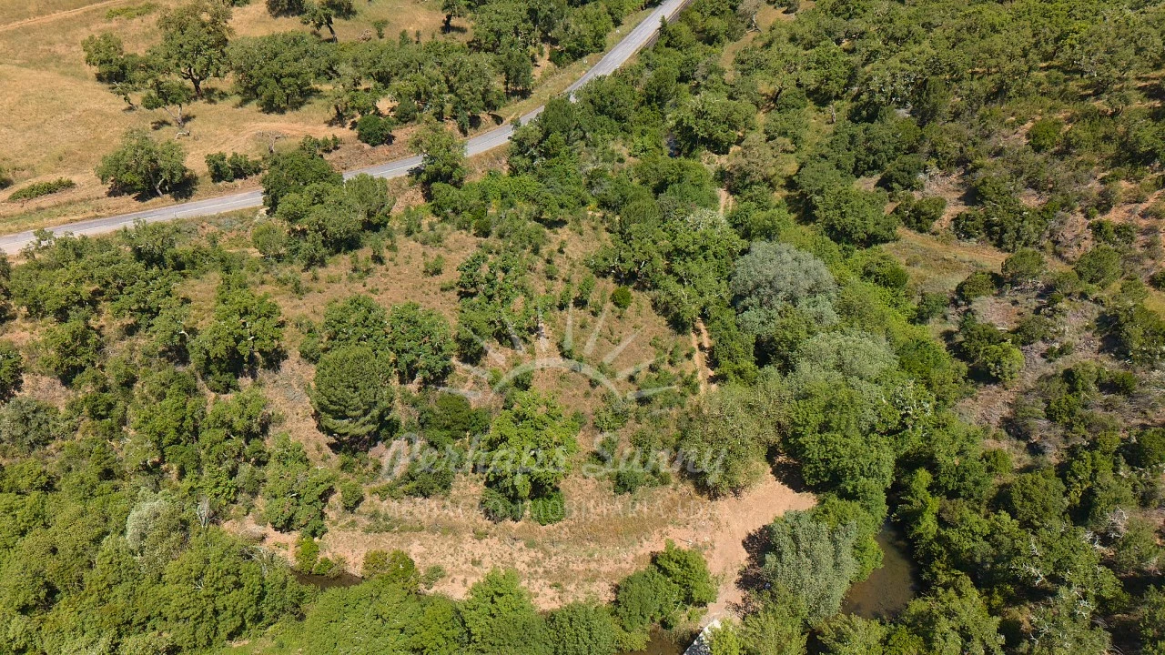 Terreno Agricola ou Rústico para Venda em Grândola e Santa Margarida da Serra Foto 16