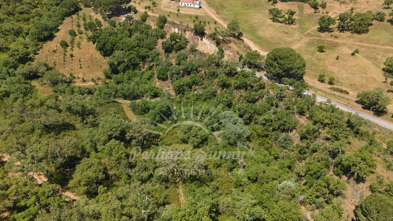 Terreno Agricola ou Rústico para Venda em Grândola e Santa Margarida da Serra Foto 17