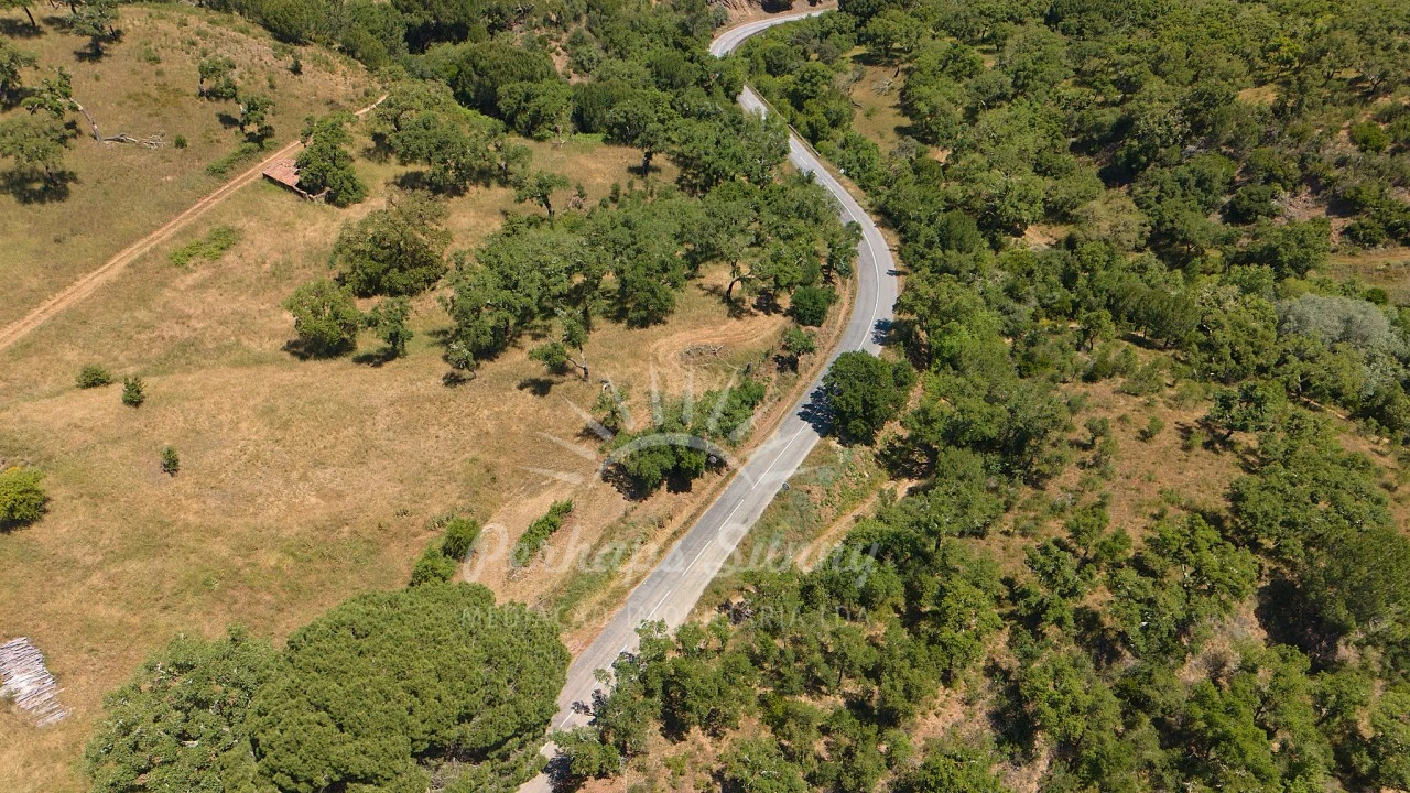 Terreno Agricola ou Rústico para Venda em Grândola e Santa Margarida da Serra Foto 18