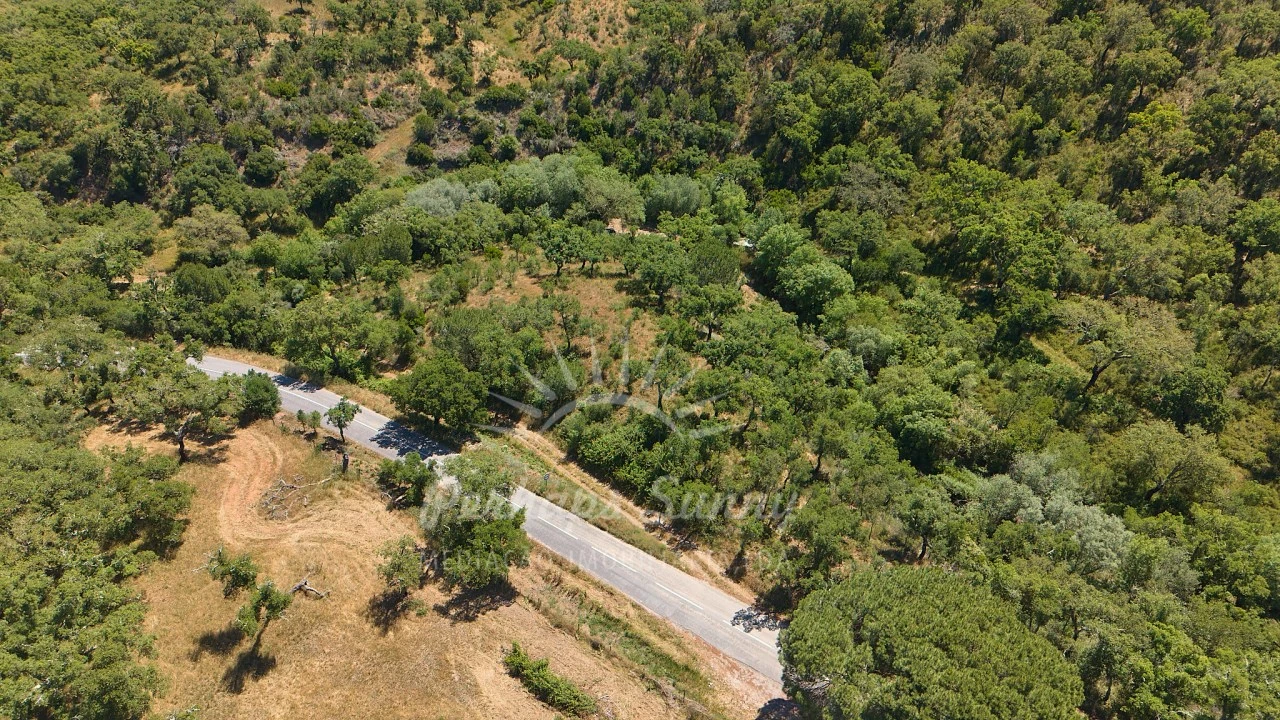 Terreno Agricola ou Rústico para Venda em Grândola e Santa Margarida da Serra Foto 19