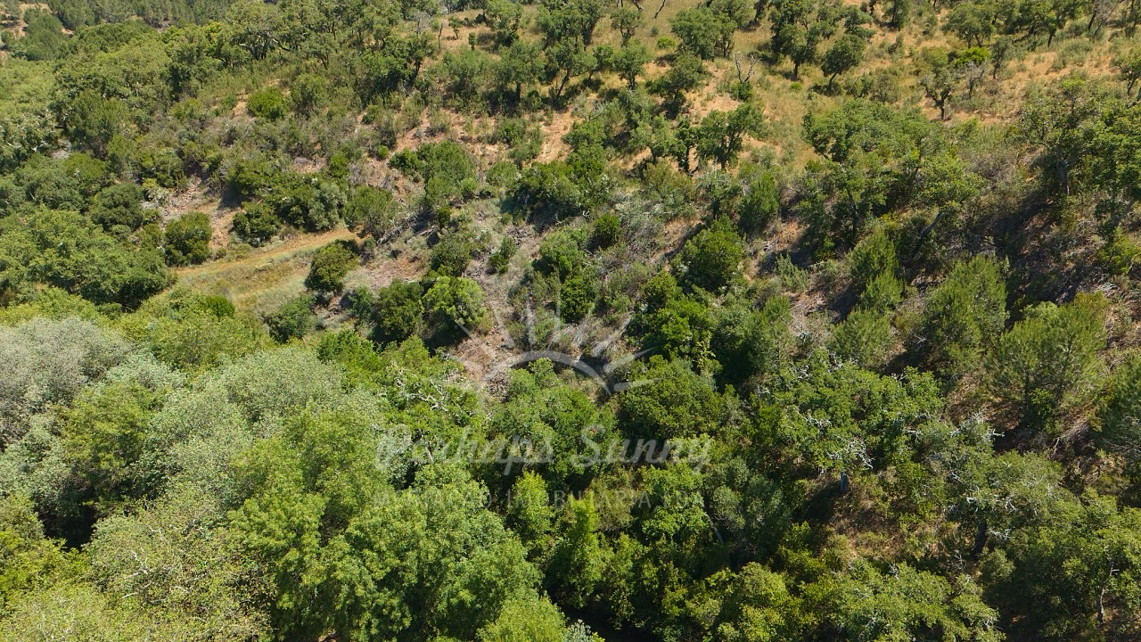 Terreno Agricola ou Rústico para Venda em Grândola e Santa Margarida da Serra Foto 20