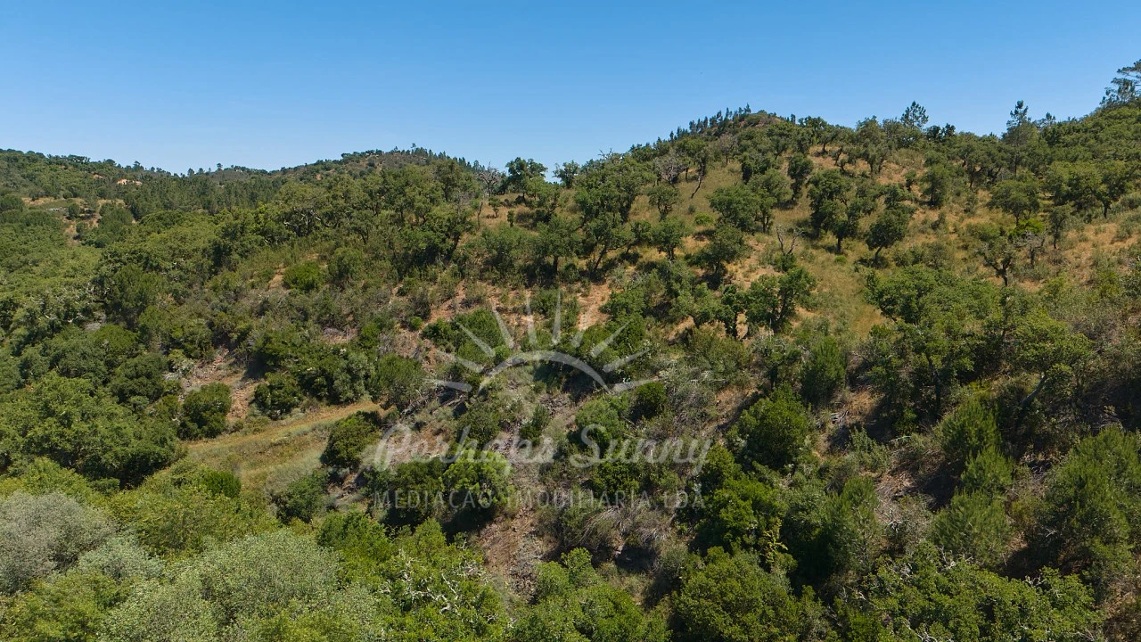 Terreno Agricola ou Rústico para Venda em Grândola e Santa Margarida da Serra Foto 21