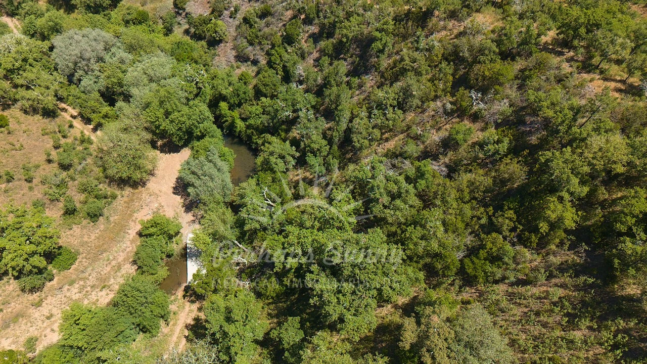 Terreno Agricola ou Rústico para Venda em Grândola e Santa Margarida da Serra Foto 23