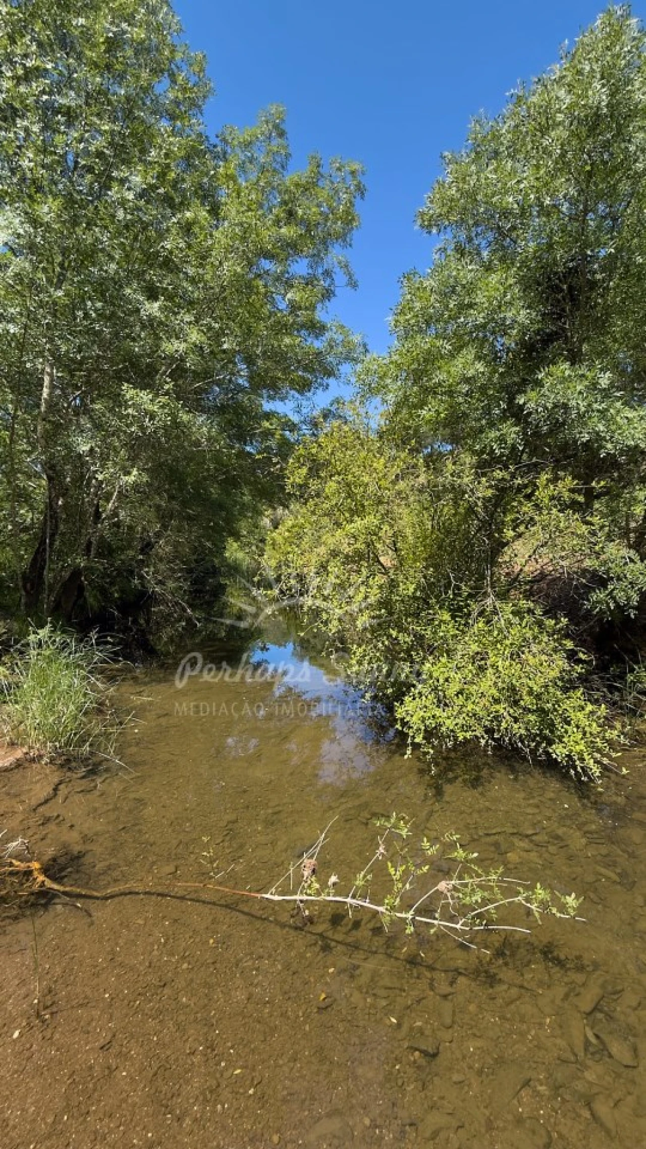 Terreno Agricola ou Rústico para Venda em Grândola e Santa Margarida da Serra Foto 24