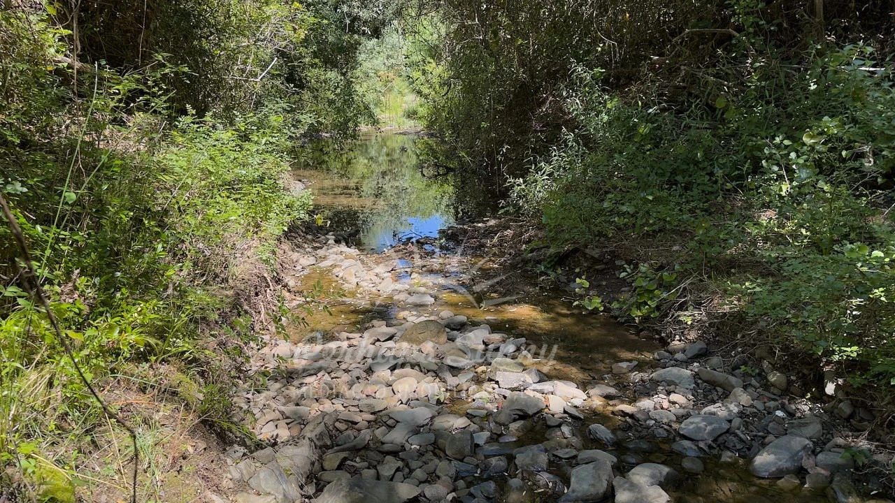 Terreno Agricola ou Rústico para Venda em Grândola e Santa Margarida da Serra Foto 27