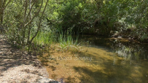 Terreno Agricola ou Rústico para Venda em Grândola e Santa Margarida da Serra