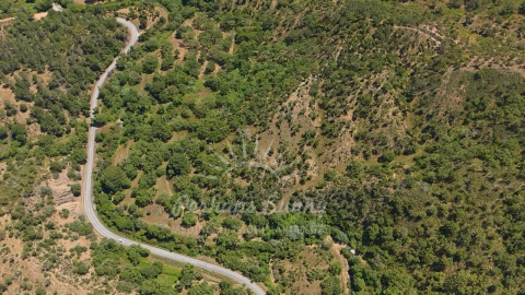 Terreno Agricola ou Rústico para Venda em Grândola e Santa Margarida da Serra