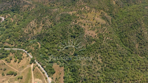 Terreno Agricola ou Rústico para Venda em Grândola e Santa Margarida da Serra