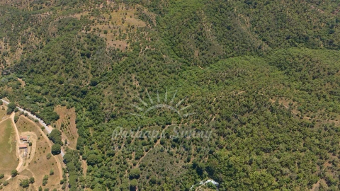 Terreno Agricola ou Rústico para Venda em Grândola e Santa Margarida da Serra