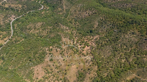 Terreno Agricola ou Rústico para Venda em Grândola e Santa Margarida da Serra