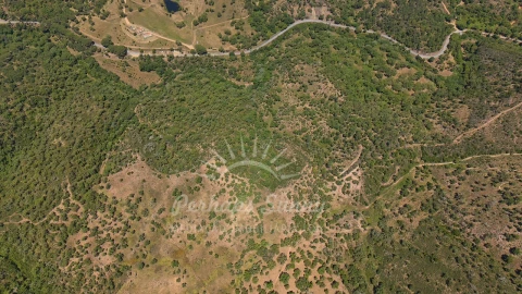 Terreno Agricola ou Rústico para Venda em Grândola e Santa Margarida da Serra