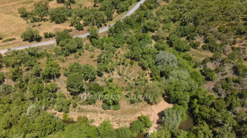 Terreno Agricola ou Rústico para Venda em Grândola e Santa Margarida da Serra