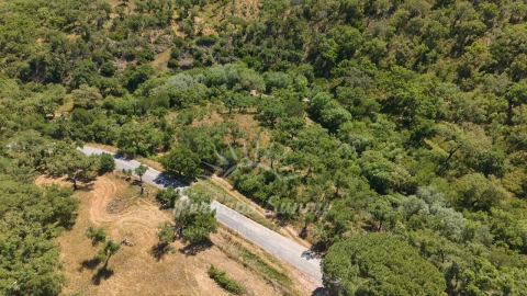 Terreno Agricola ou Rústico para Venda em Grândola e Santa Margarida da Serra