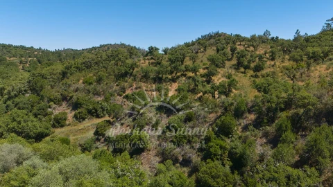 Terreno Agricola ou Rústico para Venda em Grândola e Santa Margarida da Serra