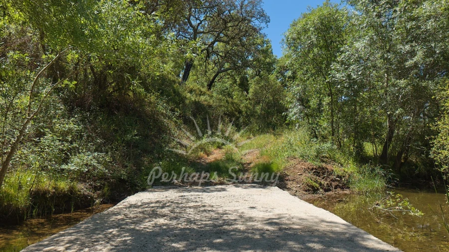 Terreno Agricola ou Rústico para Venda em Grândola e Santa Margarida da Serra Foto 3