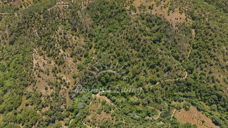 Terreno Agricola ou Rústico para Venda em Grândola e Santa Margarida da Serra Foto 9