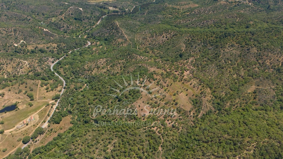 Terreno Agricola ou Rústico para Venda em Grândola e Santa Margarida da Serra Foto 12