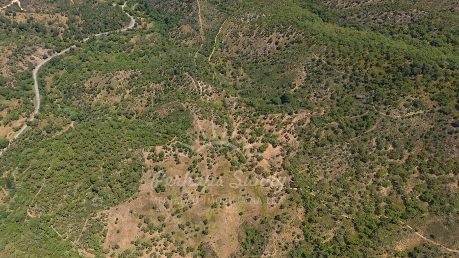 Terreno Agricola ou Rústico para Venda em Grândola e Santa Margarida da Serra Foto 13