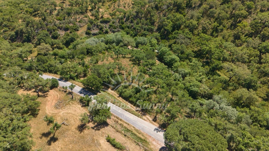Terreno Agricola ou Rústico para Venda em Grândola e Santa Margarida da Serra Foto 19