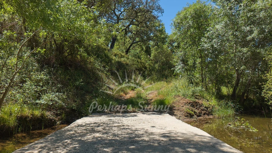 Terreno Agricola ou Rústico para Venda em Grândola e Santa Margarida da Serra