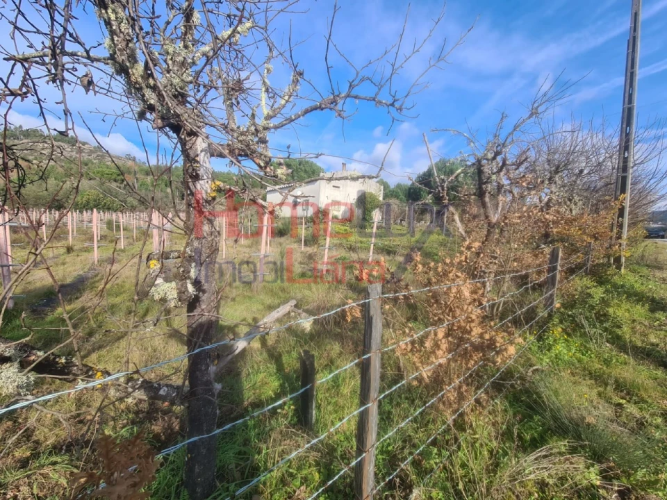 Quinta para Venda em Sezures Foto 3