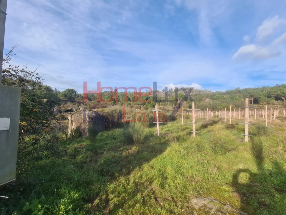 Quinta para Venda em Sezures Foto 4