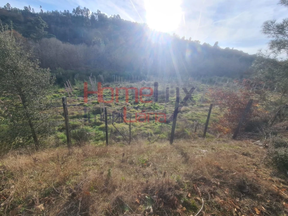 Quinta para Venda em Sezures Foto 6
