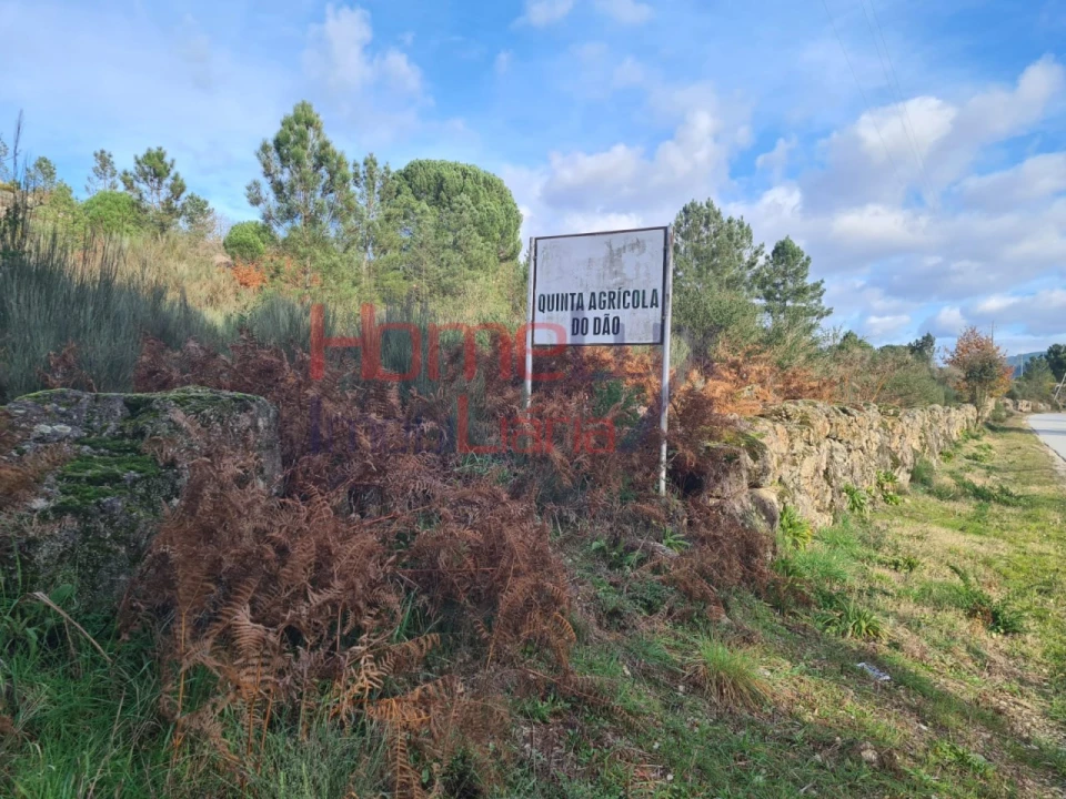 Quinta para Venda em Sezures Foto 15