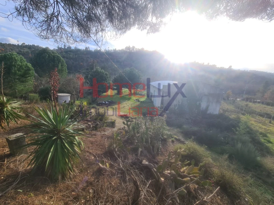 Quinta para Venda em Sezures Foto 31
