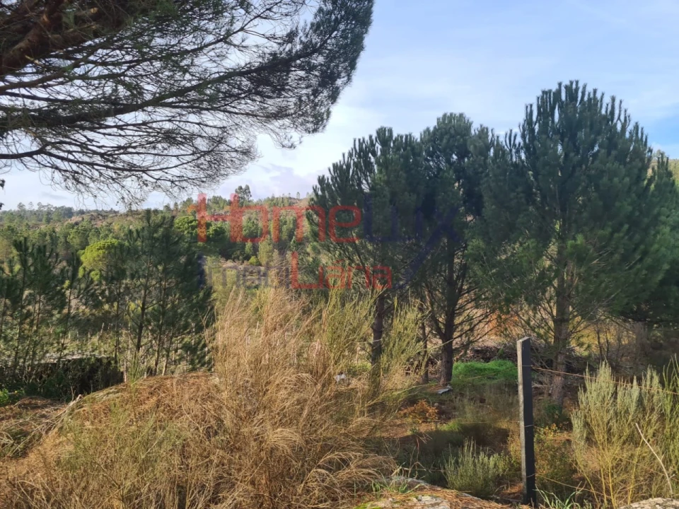 Quinta para Venda em Sezures Foto 32