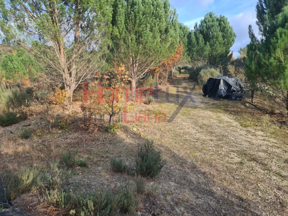 Quinta para Venda em Sezures Foto 34