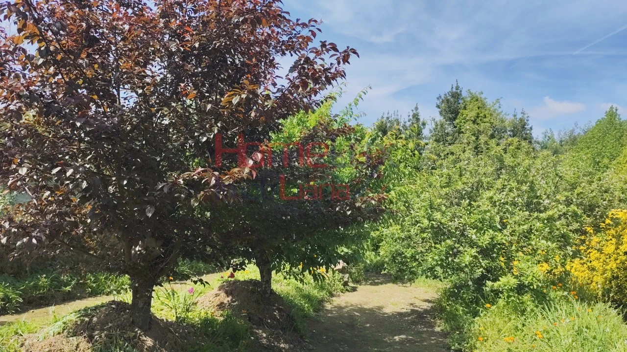 Moradia T1 para Venda em O. Azeméis, Riba-Ul, Ul, Macinhata Seixa, Madail Foto 14