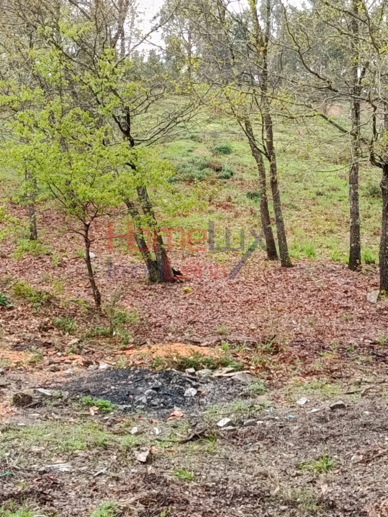 Terreno para Venda em São Pedro do Sul, Várzea e Baiões Foto 17
