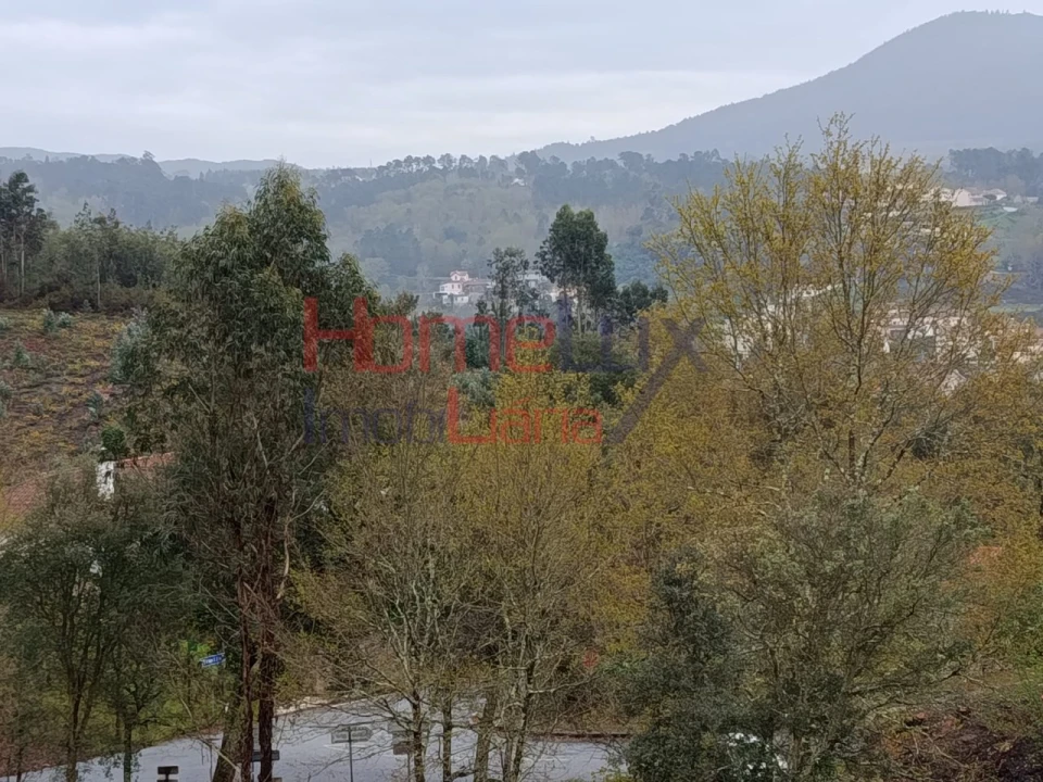 Terreno para Venda em São Pedro do Sul, Várzea e Baiões Foto 19