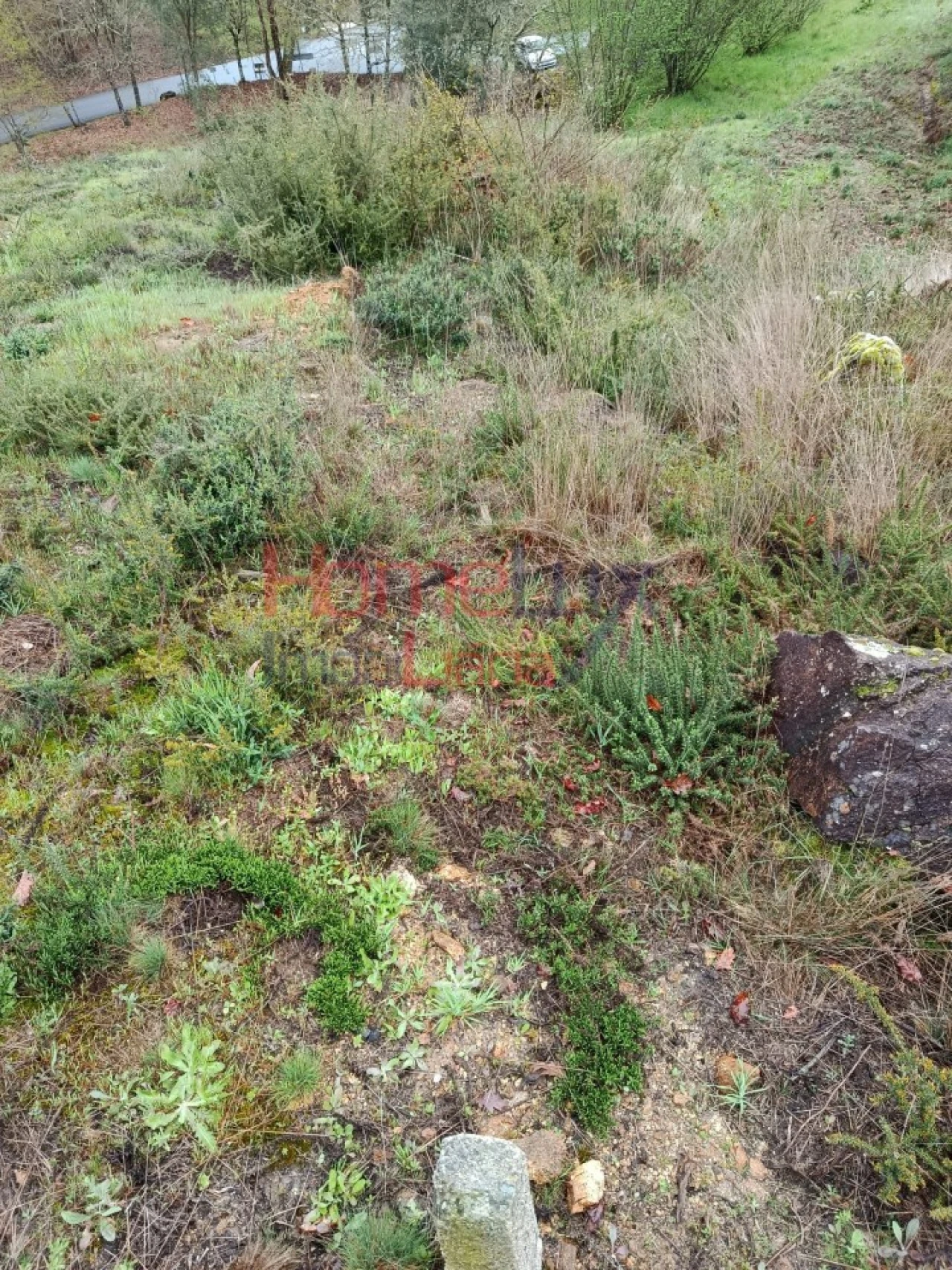 Terreno para Venda em São Pedro do Sul, Várzea e Baiões Foto 21