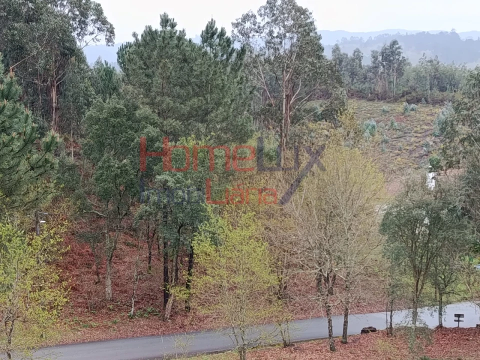 Terreno para Venda em São Pedro do Sul, Várzea e Baiões Foto 22