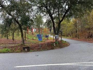 Terreno para Venda em São Pedro do Sul, Várzea e Baiões