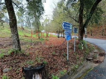 Terreno para Venda em São Pedro do Sul, Várzea e Baiões